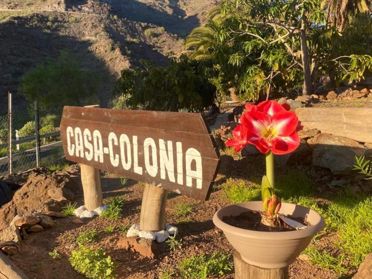 Casa Colonia Leilighet Mogán Eksteriør bilde